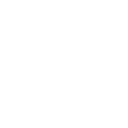 Joe Agent